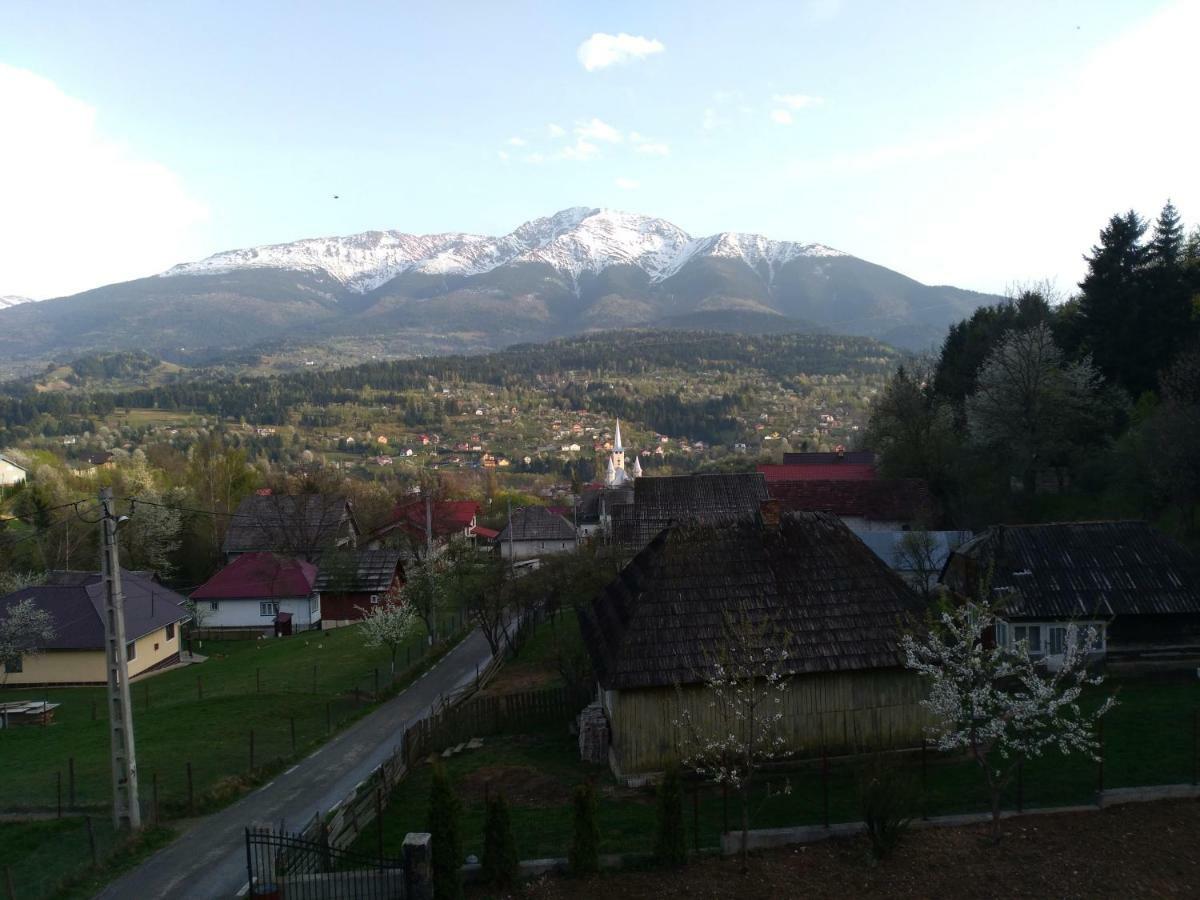 Hotel Vila Confort Borşa Exterior foto